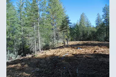 40 Ringtail Road, Georgetown, CA 95634 - Photo 7
