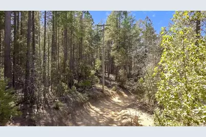 40 Ringtail Road, Georgetown, CA 95634 - Photo 25