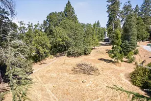 1711 Union Ridge Rd, Placerville, CA 95667 - Photo 5