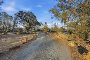 16875 Wolf Mountain Rd, Grass Valley, CA 95949 - Photo 55
