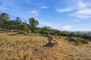 16875 Wolf Mountain Rd, Grass Valley, CA 95949 - Photo 47