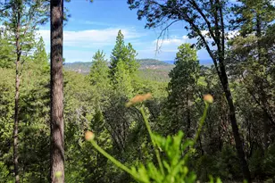 12844 Daisy Blue Mine Rd, Nevada City, CA 95959 - Photo 83