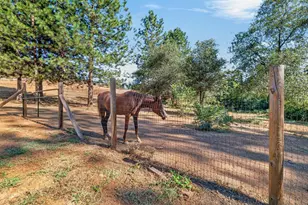 4040 Mt Rushnomore Rd, Greenwood, CA 95635 - Photo 77