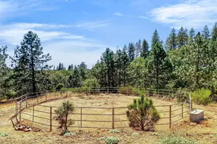 4040 Mt Rushnomore Rd, Greenwood, CA 95635 - Photo 79