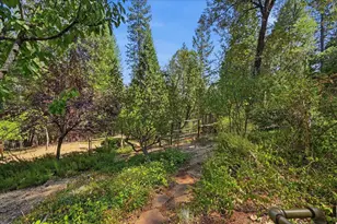 12835 Rodriguez Ct, Grass Valley, CA 95945 - Photo 35