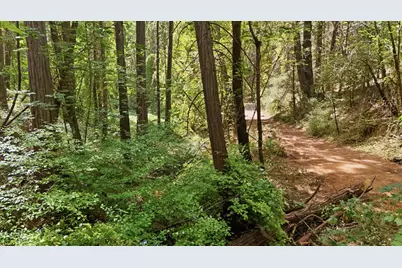 15487 Poorman Creek Road, Grass Valley, CA 95945 - Photo 47
