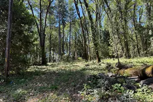 714 Woodland Way, Grass Valley, CA 95945 - Photo 51