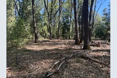 714 Woodland Way, Grass Valley, CA 95945 - Photo 39