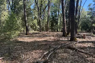 714 Woodland Way, Grass Valley, CA 95945 - Photo 39