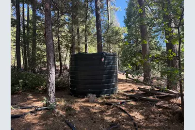 19869 Gaston Road, Nevada City, CA 95959 - Photo 13