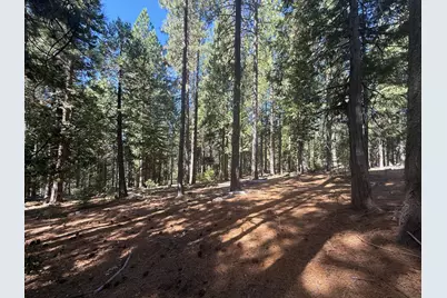 19869 Gaston Road, Nevada City, CA 95959 - Photo 23