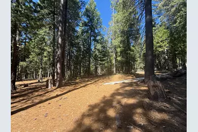 19869 Gaston Road, Nevada City, CA 95959 - Photo 15