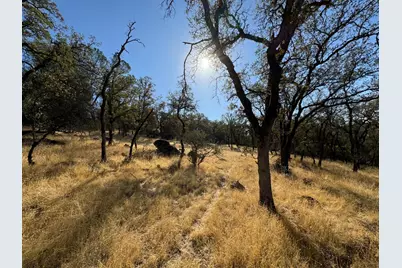 0 County Road 270, Oregon House, CA 95962 - Photo 57