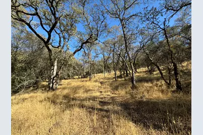 0 County Road 270, Oregon House, CA 95962 - Photo 61