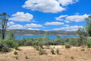 0 County Road 270, Oregon House, CA 95962 - Photo 1