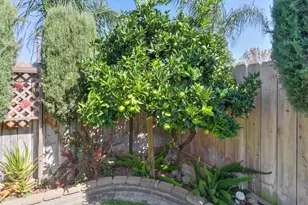 19100 Triolo St, Woodbridge, CA 95258 - Photo 55
