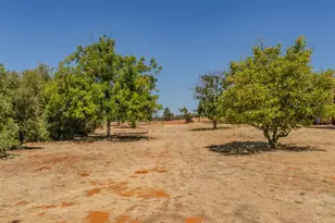 17770 Latrobe Rd, Plymouth, CA 95669 - Photo 7