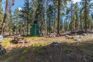 15530 Hwy 4, Camp Connell, CA 95223 - Photo 31