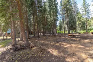 15530 Hwy 4, Camp Connell, CA 95223 - Photo 35