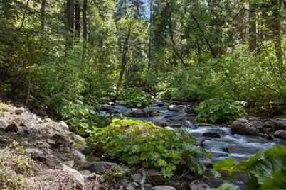 12625 Zeibright Road, Nevada City, CA 95959 - Photo 21