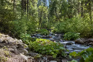 12625 Zeibright Rd, Nevada City, CA 95959 - Photo 21