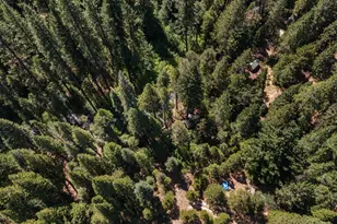 12625 Zeibright Rd, Nevada City, CA 95959 - Photo 45
