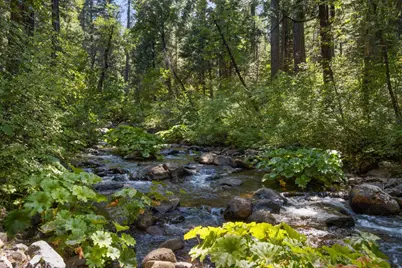12625 Zeibright Road, Nevada City, CA 95959 - Photo 1