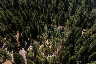 12625 Zeibright Rd, Nevada City, CA 95959 - Photo 37