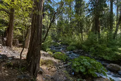 12625 Zeibright Road, Nevada City, CA 95959 - Photo 19