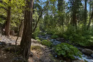 12625 Zeibright Rd, Nevada City, CA 95959 - Photo 19