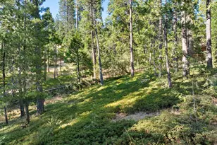 2950 Placer Way, Arnold, CA 95223 - Photo 33