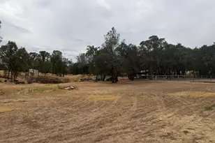 49 Drescher Tract, Oroville, CA 95966 - Photo 31