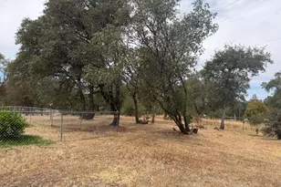 49 Drescher Tract, Oroville, CA 95966 - Photo 41