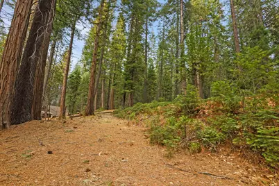 25127 Abraham Avenue, Mi Wuk Village, CA 95346 - Photo 9