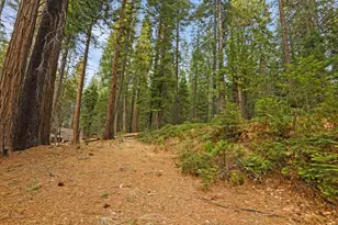 25127 Abraham Ave, Mi Wuk Village, CA 95346 - Photo 9