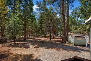 26722 State Hwy 88, Pioneer, CA 95666 - Photo 45