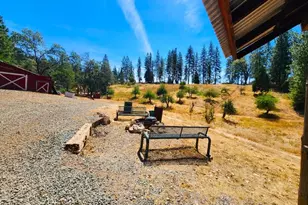 8822 Bailey Ridge Rd, Wilseyville, CA 95257 - Photo 19