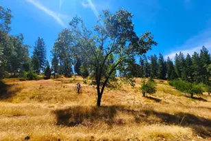 8822 Bailey Ridge Rd, Wilseyville, CA 95257 - Photo 35