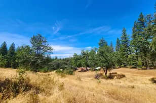 8822 Bailey Ridge Rd, Wilseyville, CA 95257 - Photo 37