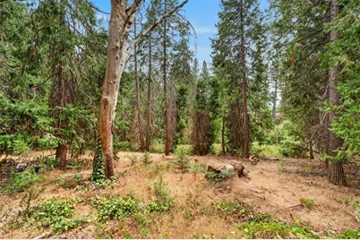 4808 Pony Express Trail, Camino, CA 95709 - Photo 51
