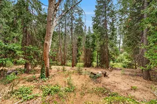 4808 Pony Express Trail, Camino, CA 95709 - Photo 51