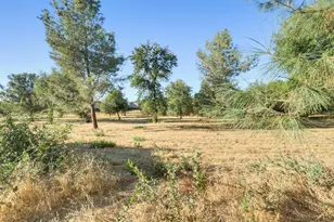 536 Lupine Dr, Ione, CA 95640 - Photo 41