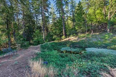 2664 Cable Road, Camino, CA 95709 - Photo 43