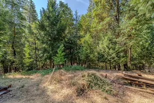 24810 Sunrise Terrace, Pioneer, CA 95666 - Photo 59