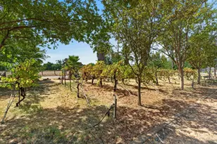 11291 Colony Rd, Wilton, CA 95693 - Photo 49