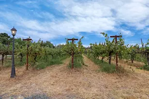 11700 E Mayers, Acampo, CA 95220 - Photo 19