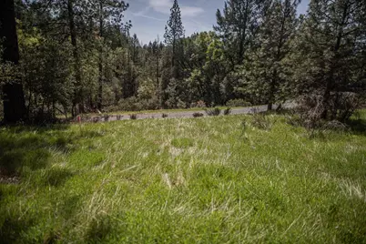 464 Highway 193, Greenwood, CA 95635 - Photo 1
