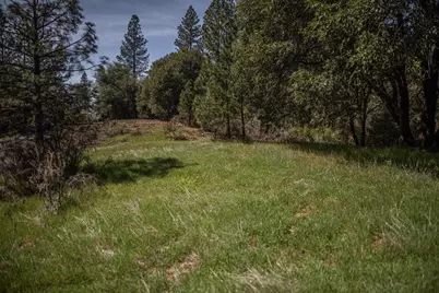 464 Highway 193, Greenwood, CA 95635 - Photo 9
