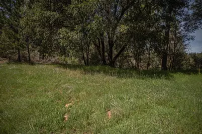 464 Highway 193, Greenwood, CA 95635 - Photo 11