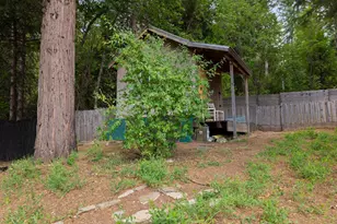 1137 Hwy 4, Arnold, CA 95223 - Photo 15